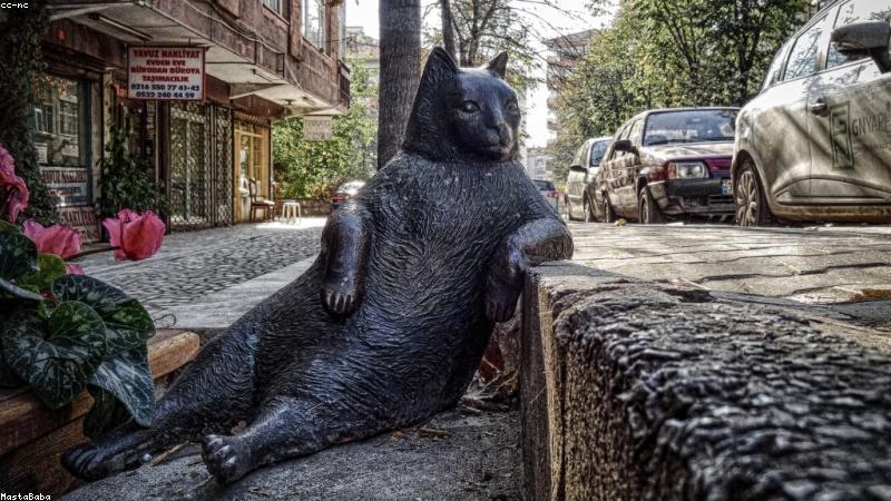 科学护肤四部曲：从清洁到防晒的精准指南