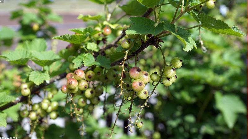 科学护肤全攻略：从清洁到防晒的5大黄金技巧
